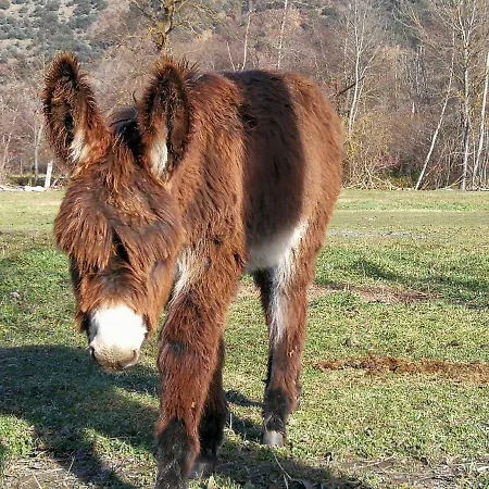 Ca La Nena Appartement Esterri d'Àneu